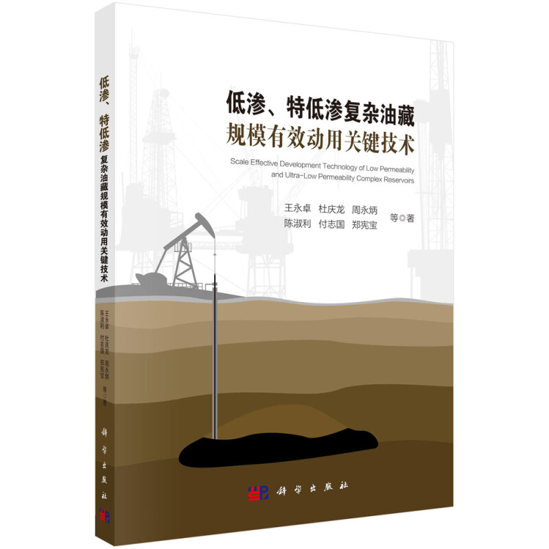 油气藏地质及开发工程丛书低渗.特低渗复杂油藏规模有效动用关键技术
