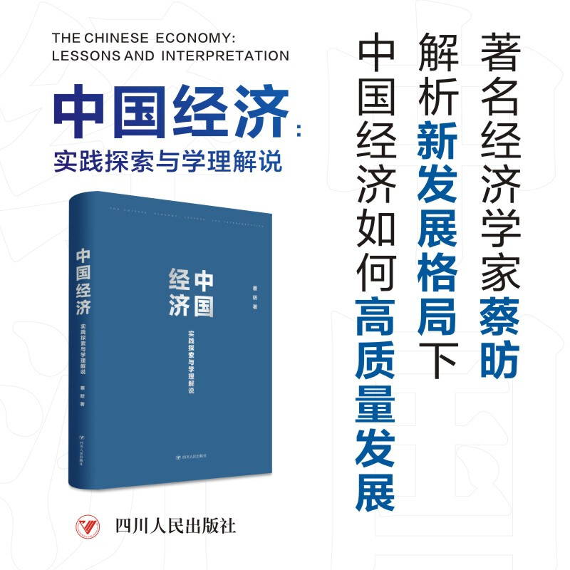 中国经济:实践探索与学理解说