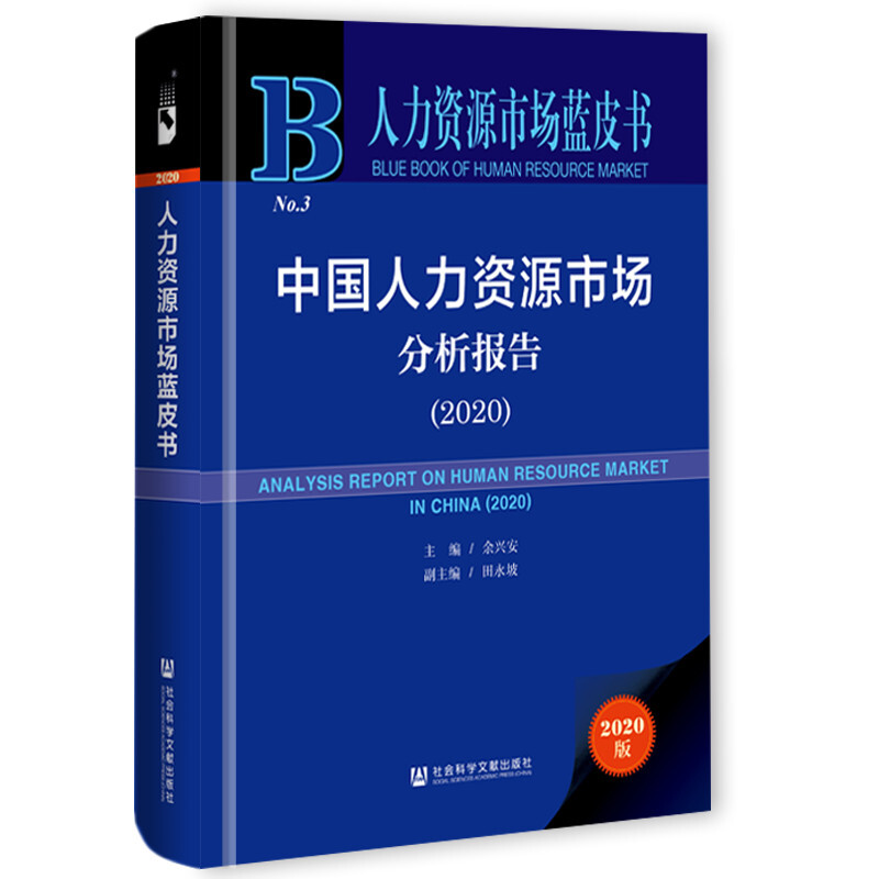 人力资源市场蓝皮书中国人力资源市场分析报告(2020)