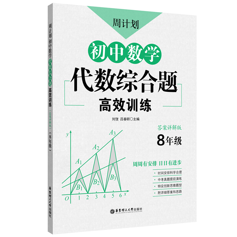 周计划:初中数学代数综合题高效训练(8年级)