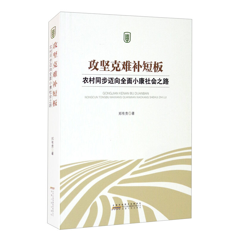 攻坚克难补短板:农村同步迈向全面小康社会之路