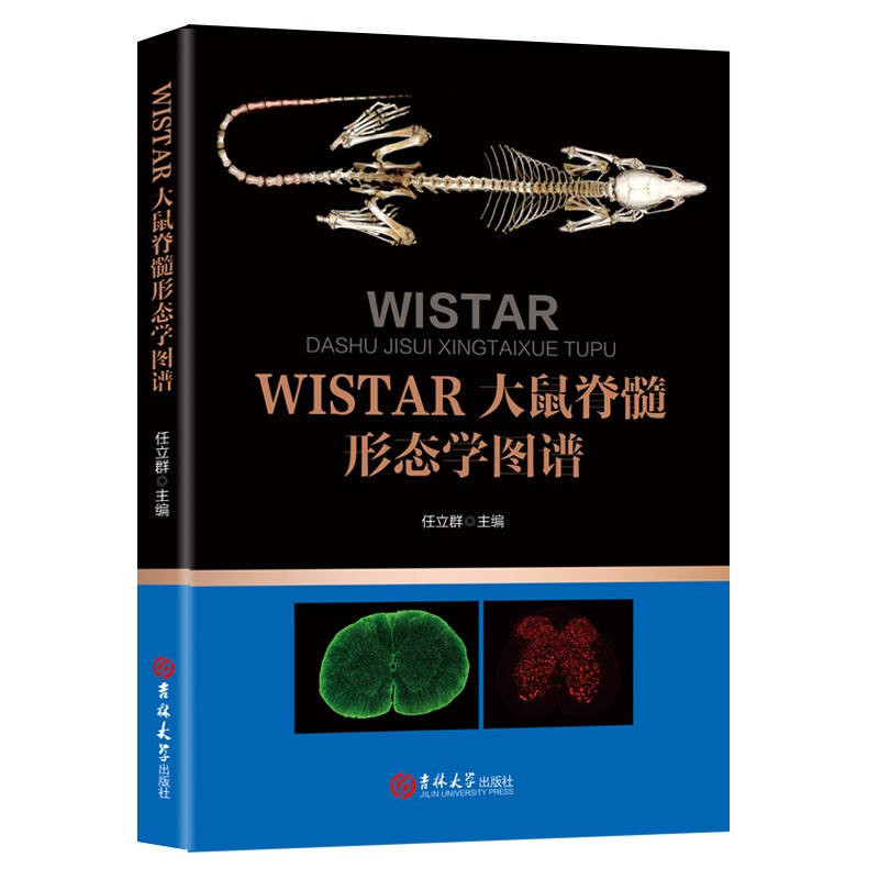 WISTAR大鼠脊髓形态学图谱