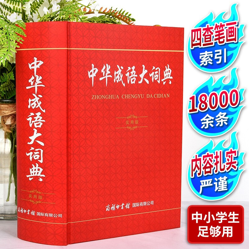中华成语大词典(实用版)