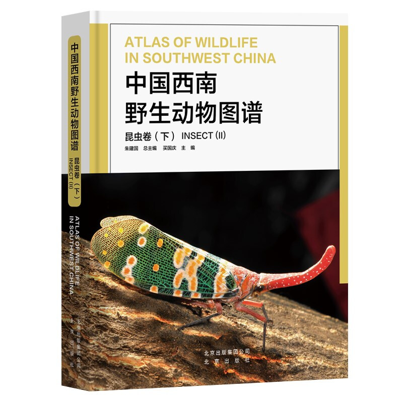中国西南野生动物图谱:下:Ⅱ:昆虫卷:Insect