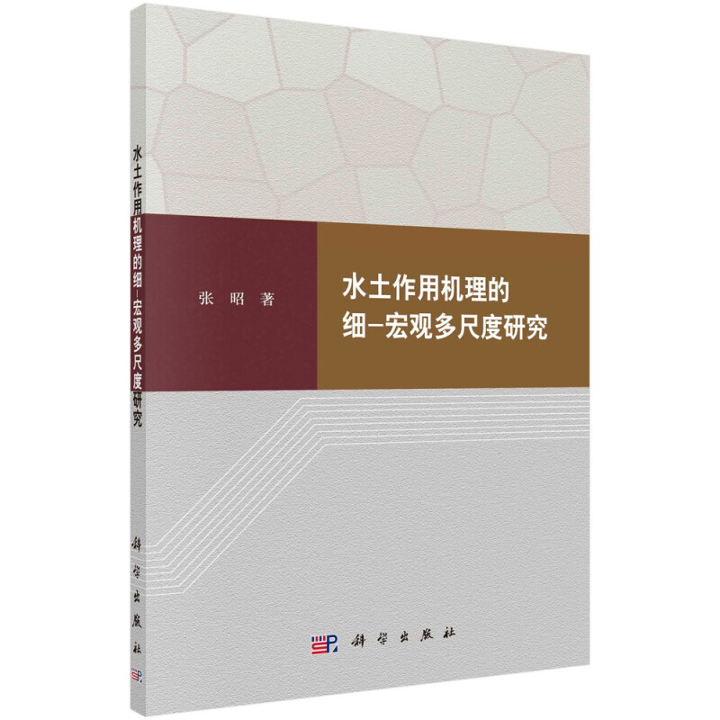 水土作用机理的细-宏观多尺度研究