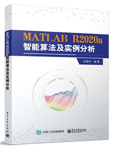 MATLAB R2020a㷨ʵ