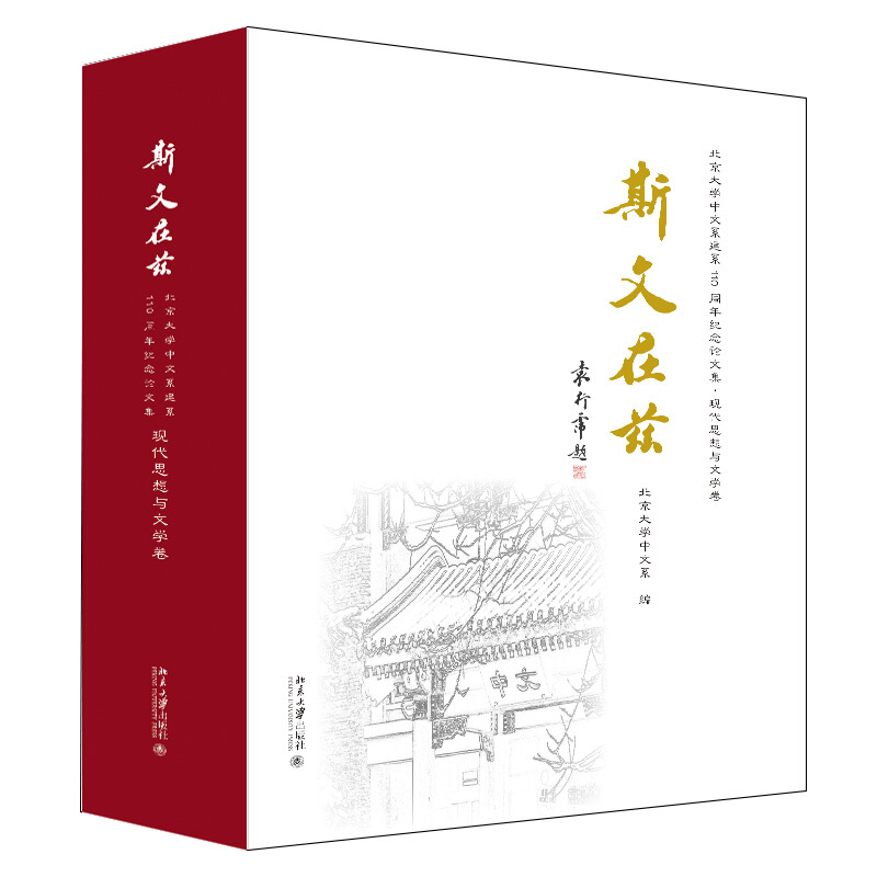 斯文在兹 北京大学中文系建系110周年纪念论文集·现代思想与文学卷