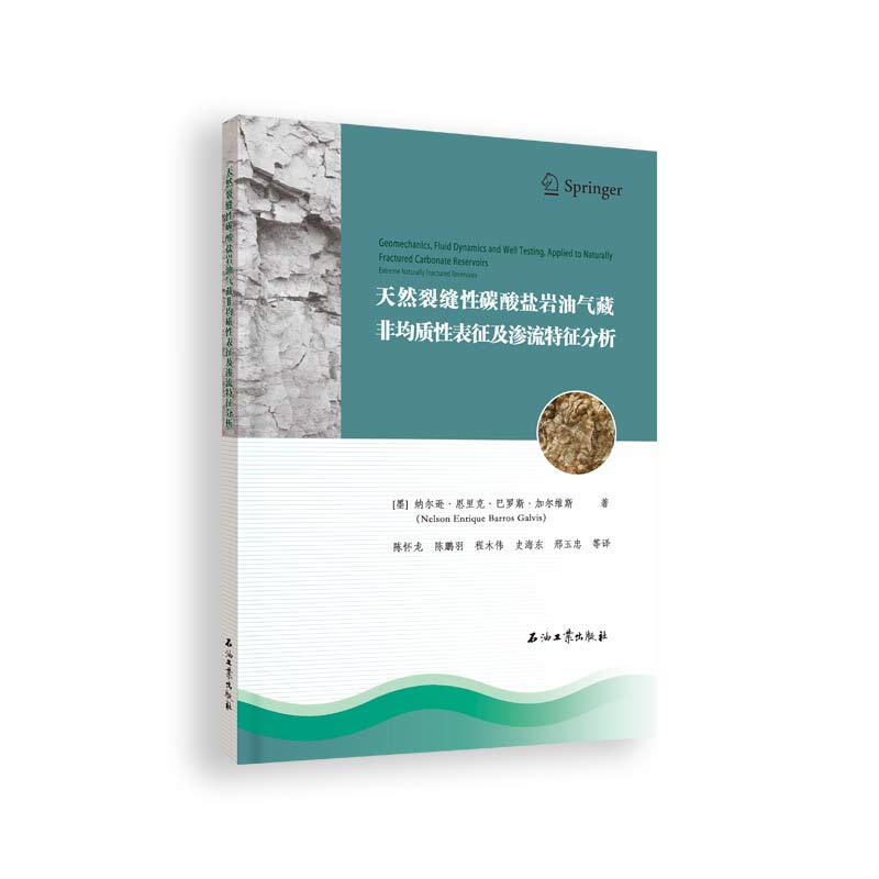 天然裂缝性碳酸盐岩油气藏非均质性表征及渗流特征分析