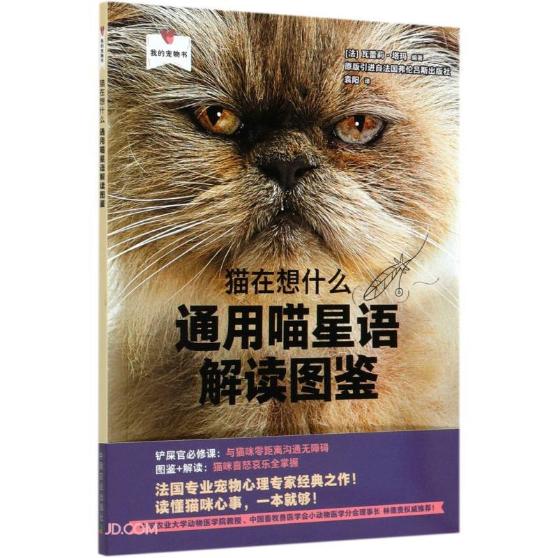 猫在想什么:通用喵星语解读图鉴