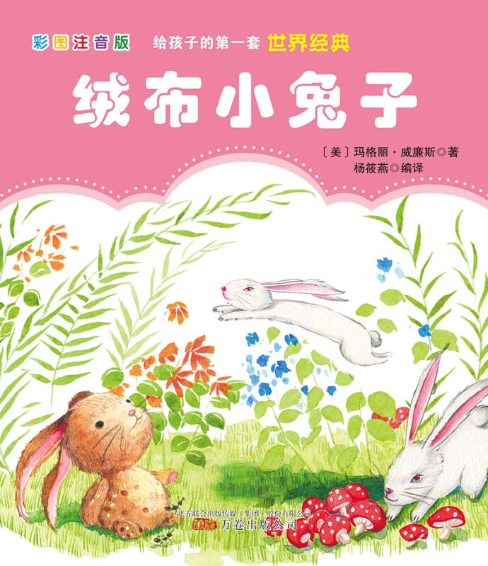 新书--给孩子的第一套世界经典: 绒布小兔子(彩图注音版)