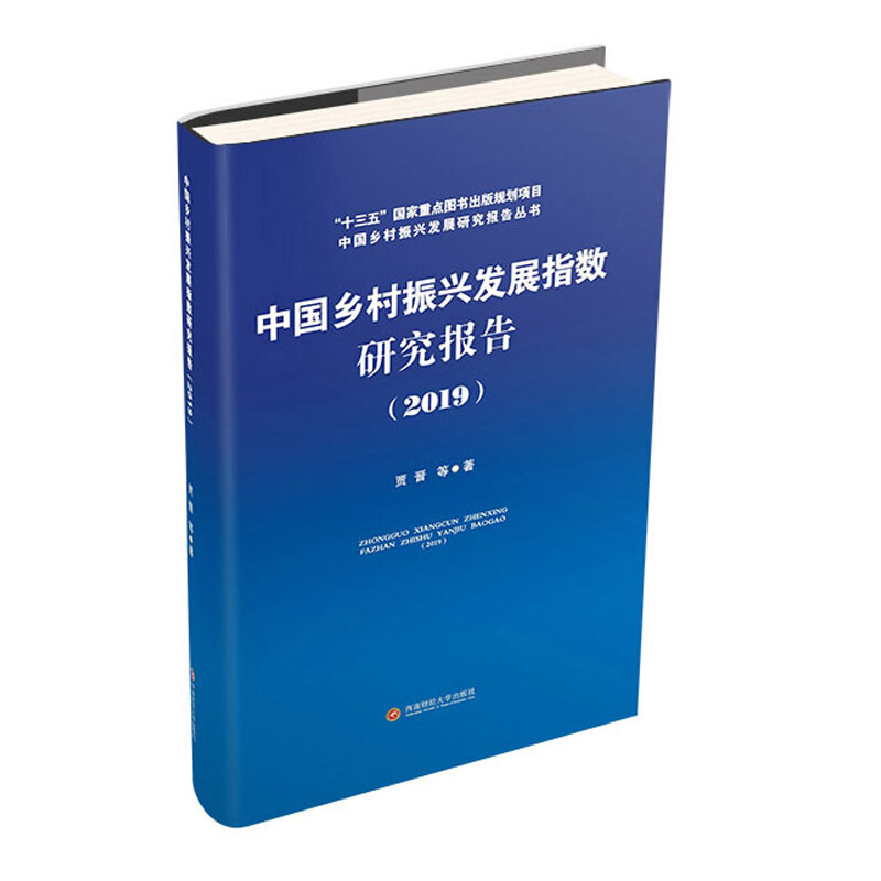 中国乡村振兴发展指数研究报告(2019)