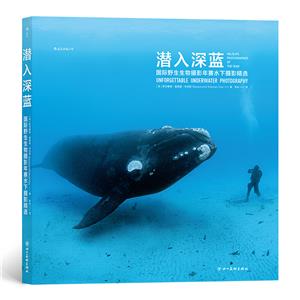 潛入深藍:國際野生生物攝影年賽水下攝影精選