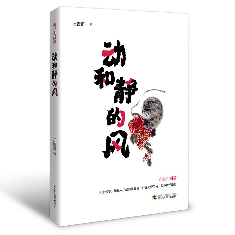 动和静的风