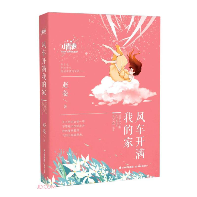 小青春——风车开满我的家