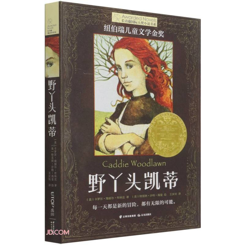 长青藤国际大奖小说书系第十三辑:野丫头凯蒂