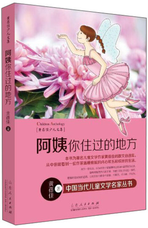 中国当代儿童文学名家丛书:阿姨你住过的地方