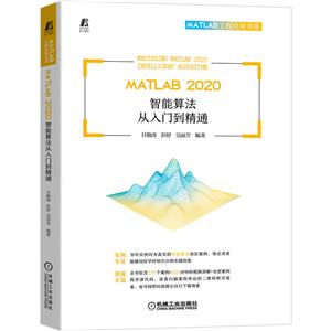 MATLAB 2020 㷨ŵͨ