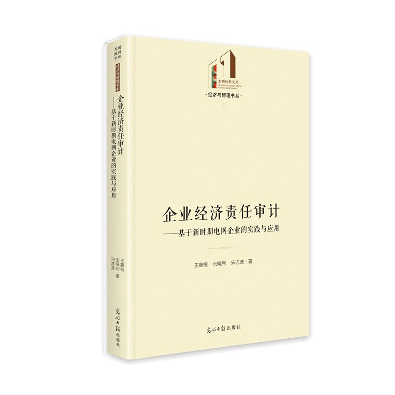 企业经济责任审计--基于新时期电网企业的实践与应用