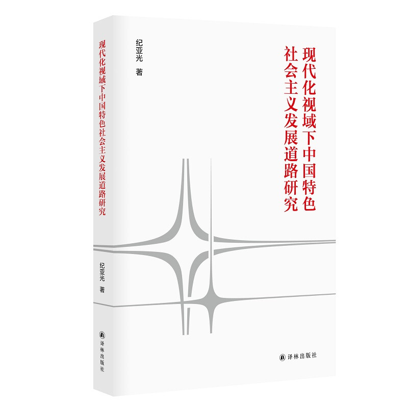 现代化时域下中国特色社会主义发展道路研究