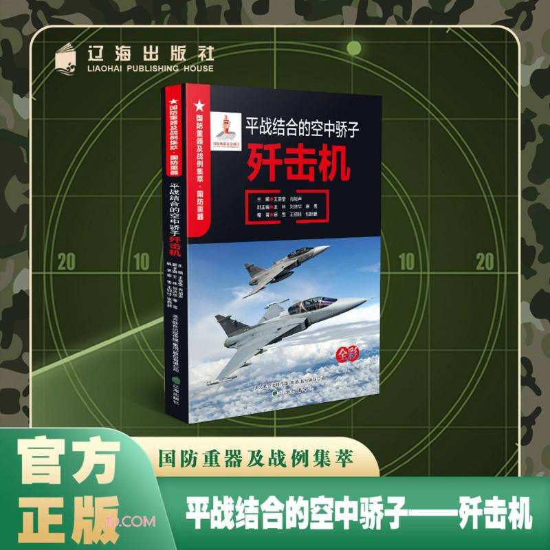 平战结合的空中骄子——歼击机