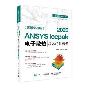 ANSYS Icepak 2020ɢȴŵͨ(ʵս)