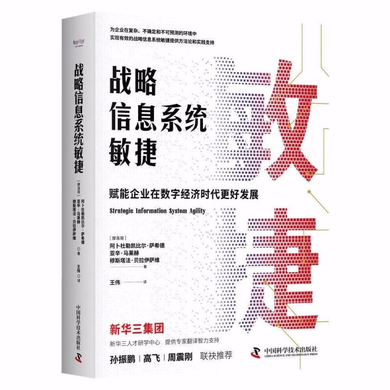 战略信息系统敏捷:赋能企业在数字经济时代更好发展  (精装)