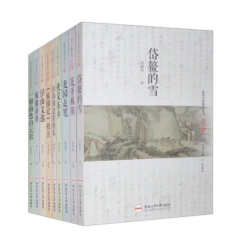 枞阳文学精品丛书(第4辑共9册)