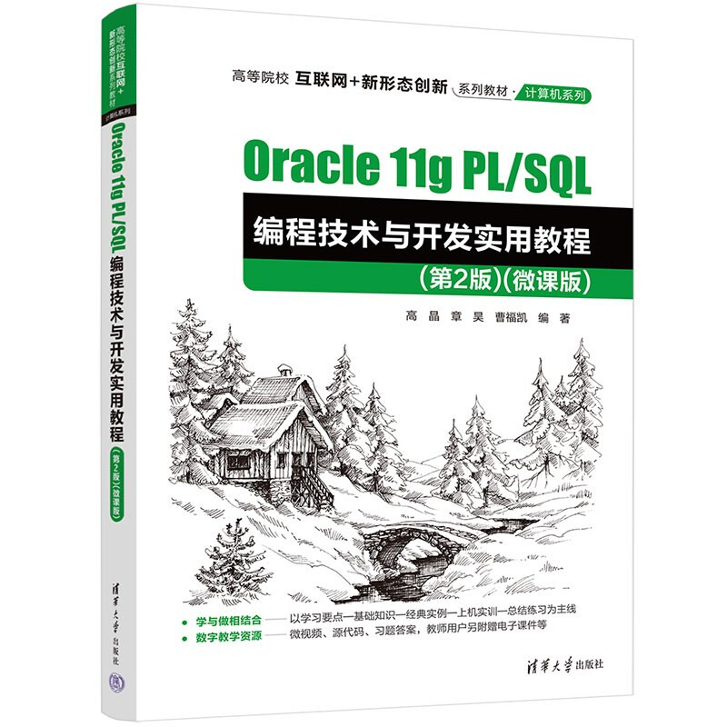 Oracle 11g PL/SQL编程技术与开发实用教程(第2版)(微课版)
