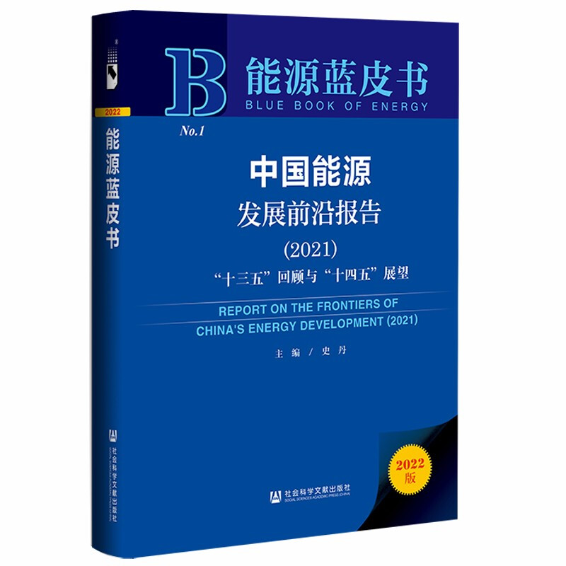 中国能源发展前沿报告:2021:2021:“十三五”回顾与“十四五”展望