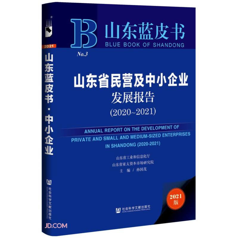 山东省民营及中小企业发展报告:2020-2021:2020-2021