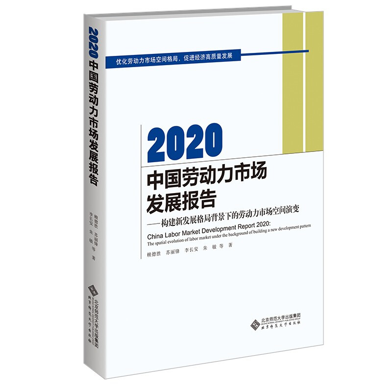 2020中国劳动力市场发展报告