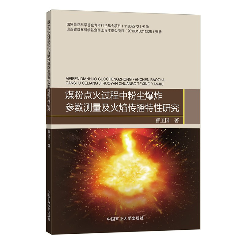 煤粉点火过程中粉尘爆炸参数测量及火焰传播特性研究