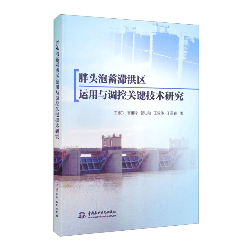 胖头泡蓄滞洪区运用与调控关键技术研究