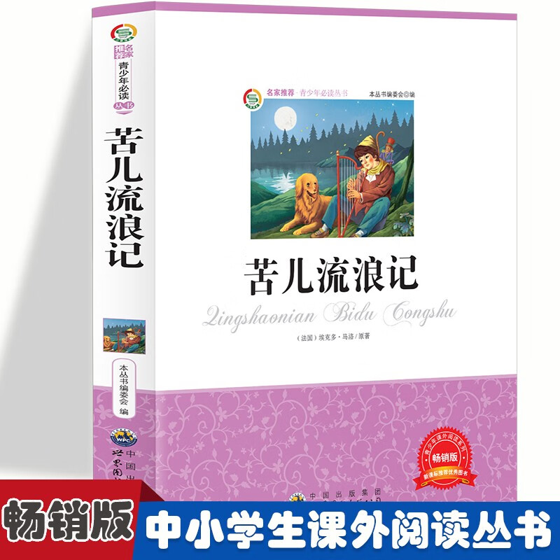 (儿童文学)青少年课外阅读系列丛书:苦儿流浪记