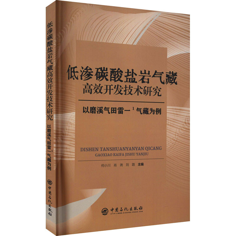 低渗碳酸盐岩气藏高效开发技术研究