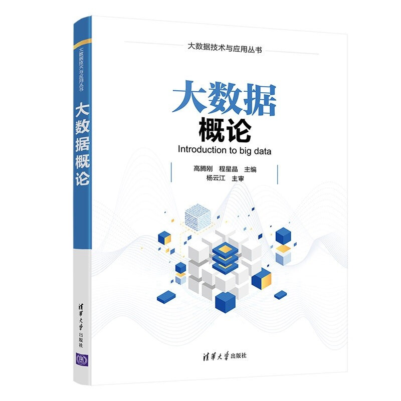 大数据概论(Introduction to big data)(大数据技术与应用丛书)