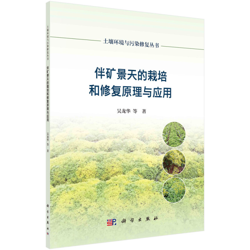 伴矿景天的栽培和修复原理与应用/土壤环境与污染修复丛书