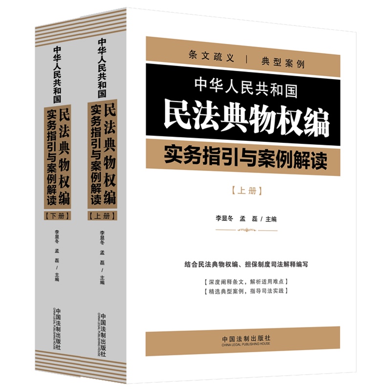 中华人民共和国民法典物权编实务指引与案例解读(上、下册)