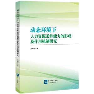 動態環境下人力資源柔性能力的形成及作用機制研究