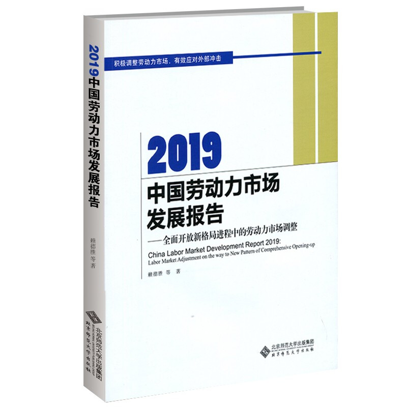 2019中国劳动力市场发展报告
