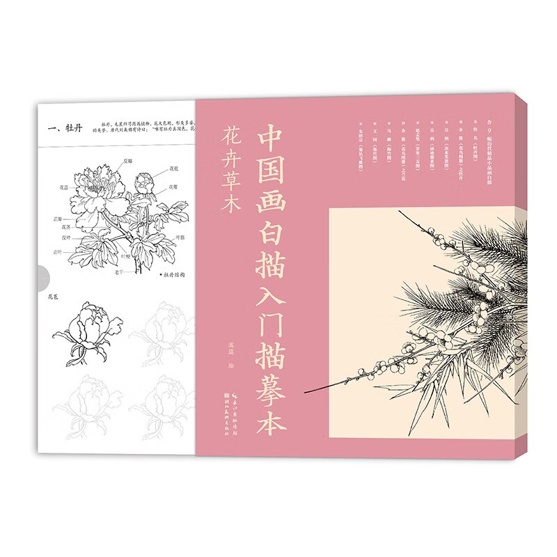 中国画白描入门描摹本 花卉草木