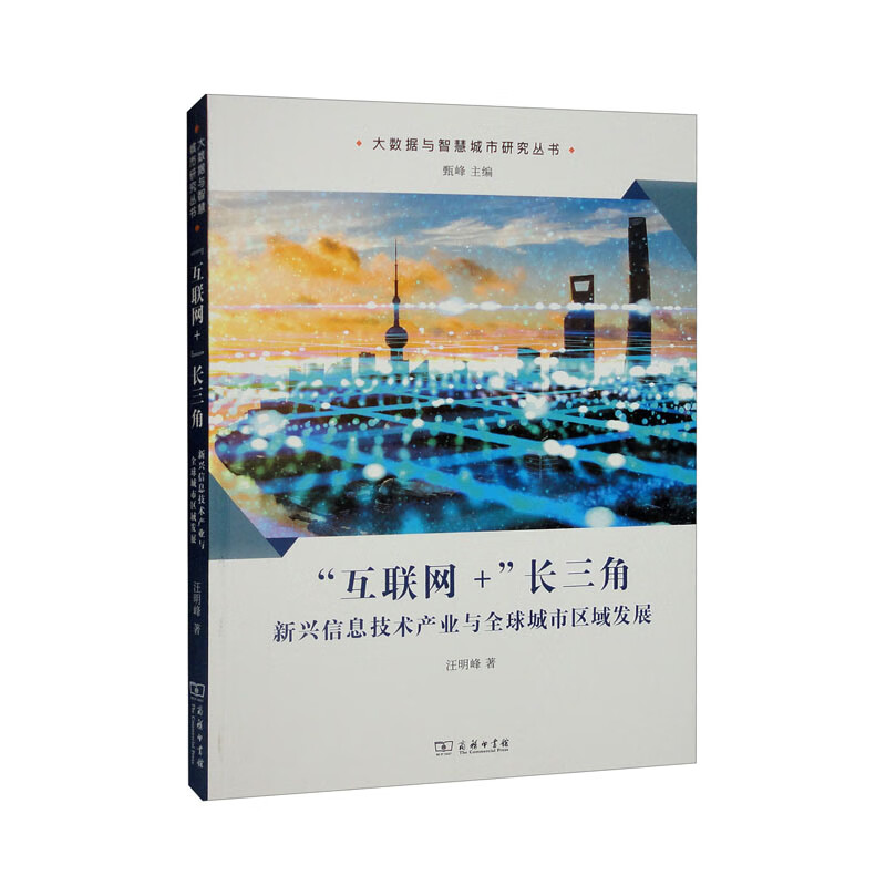 互联网+长三角(新兴信息技术产业与全球城市区域发展)/大数据与智慧城市研究丛书