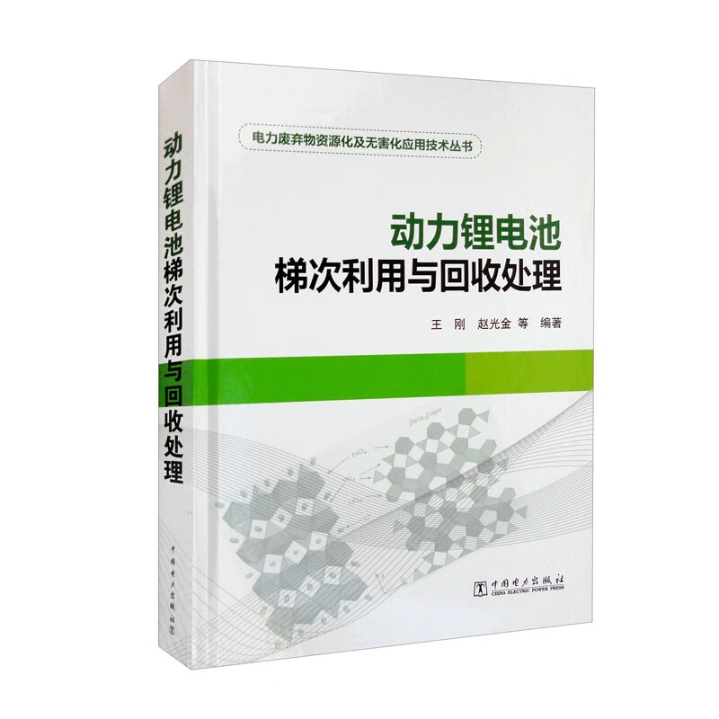 电力废弃物资源化及无害应用技术丛书  动力锂电池梯次利用与回收处理