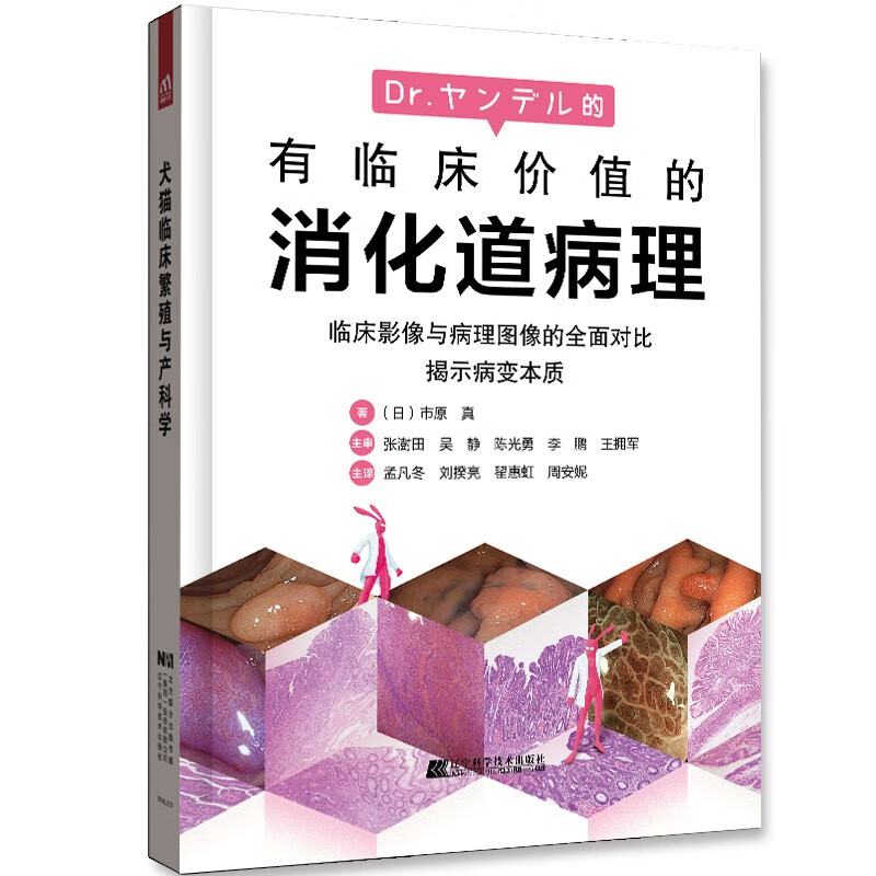 有临床价值的消化道病理:临床影像与病理图像的全面对比揭示病变本质