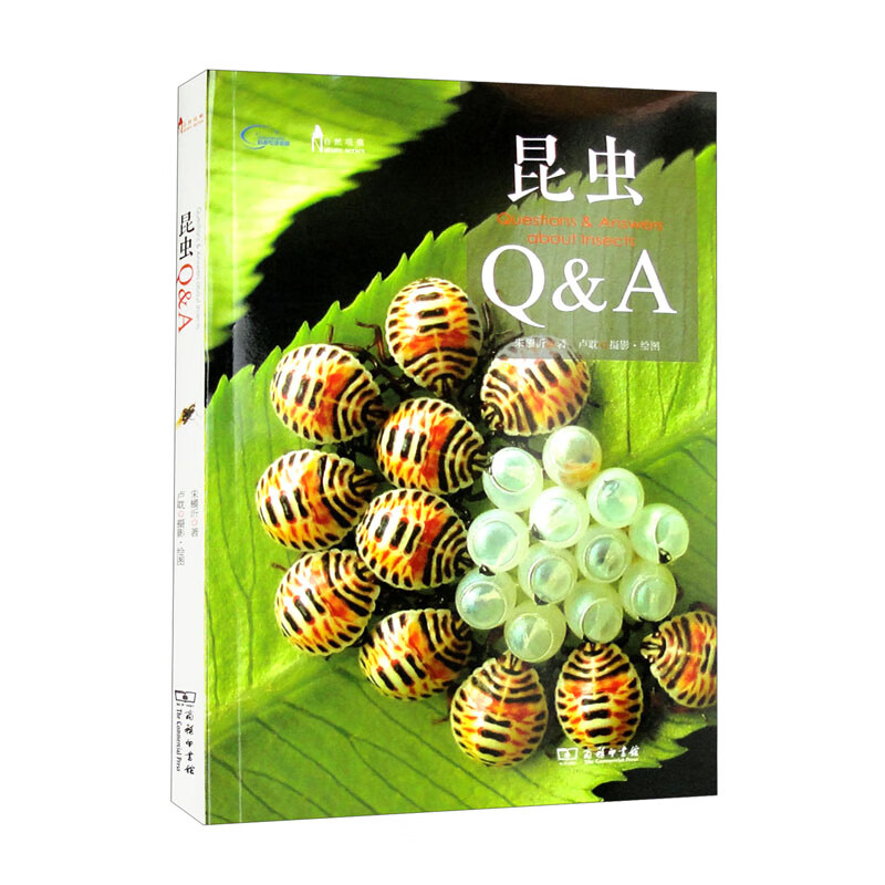 昆虫Q&A