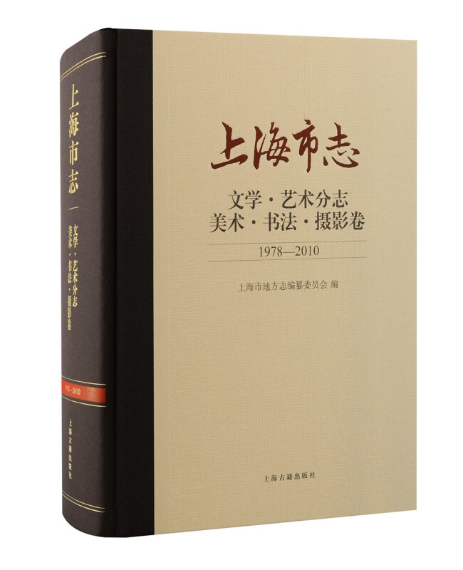 上海市志:文学·艺术分志·美术·书法·摄影卷(1978-2010)(精装)