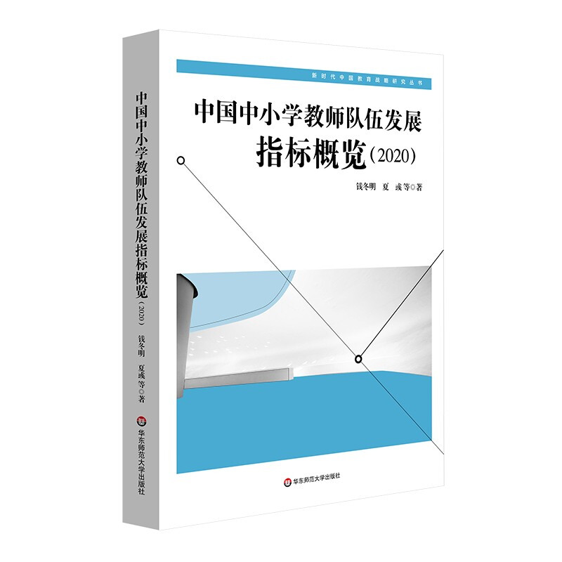 中国中小学教师队伍发展指标概览(2020)/新时代中国教育战略研究丛书