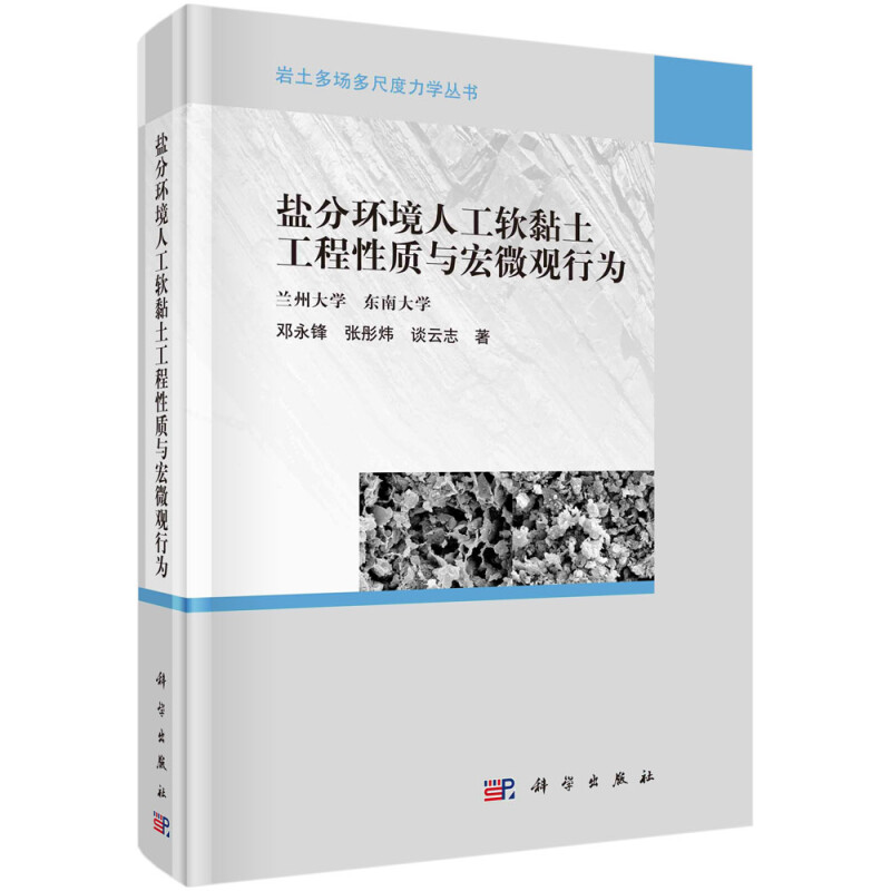 盐分环境人工软黏土工程性质与宏微观行为