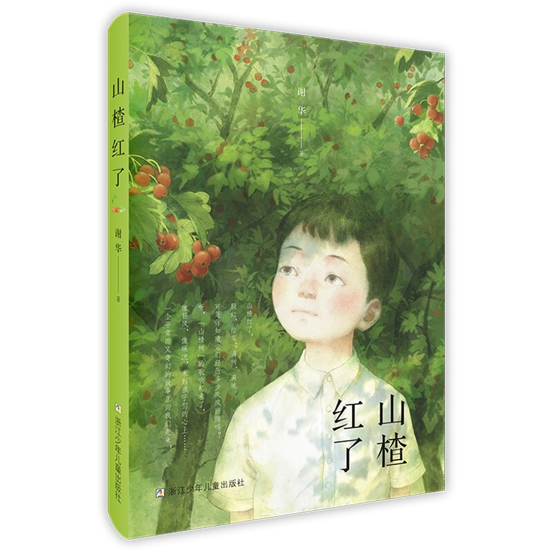 中国当代长篇儿童小说:山楂红了