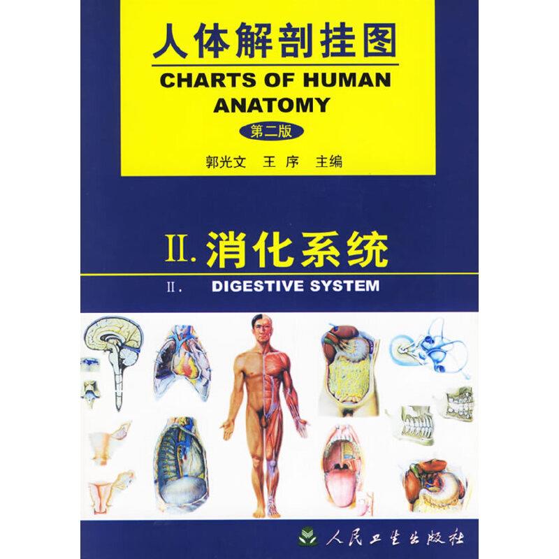 人体解剖挂图 第二版 消化系统